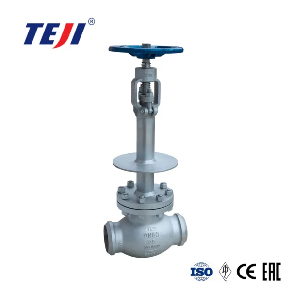 Casted Cryogenic Globe Valve