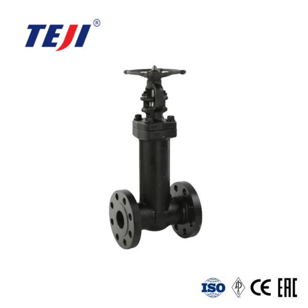 Bellow Seal Forged Globe Valve
