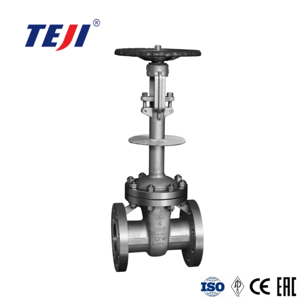 Casted Cryogenic Gate Valve