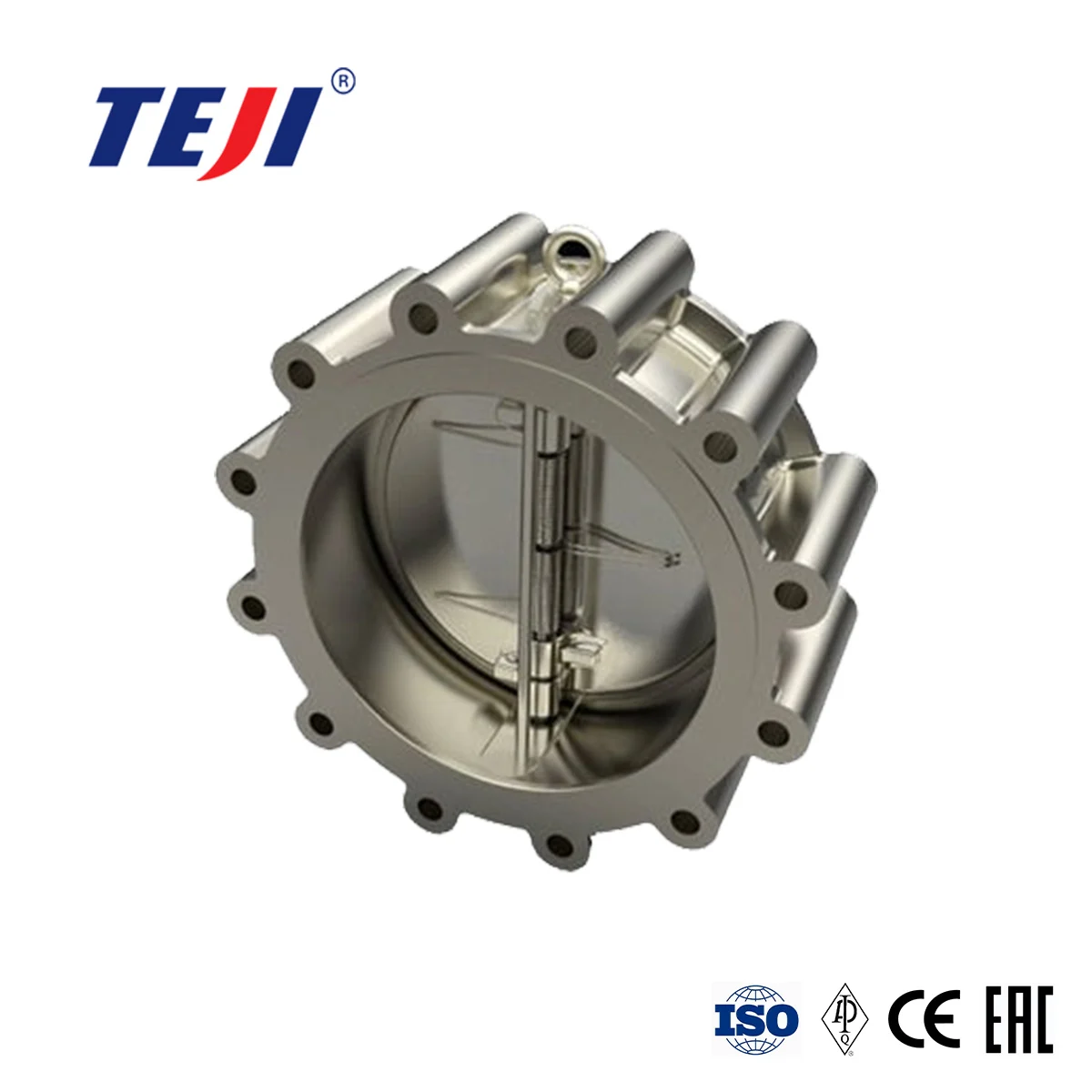 Dual Plate Check Valve