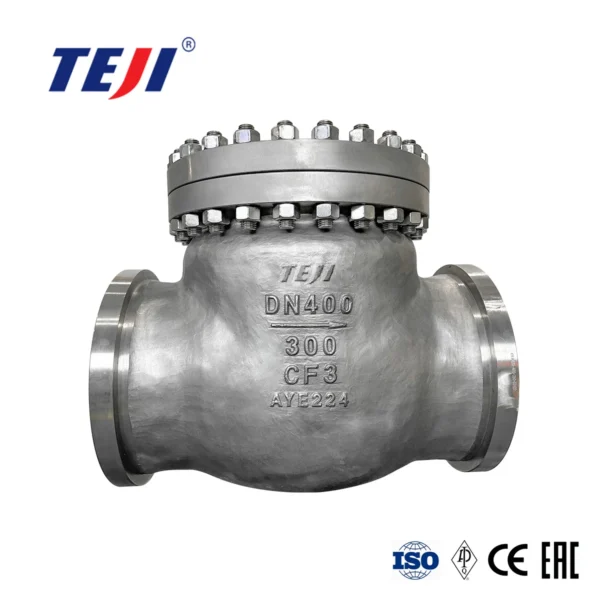 Forged Cryogenic Check Valve