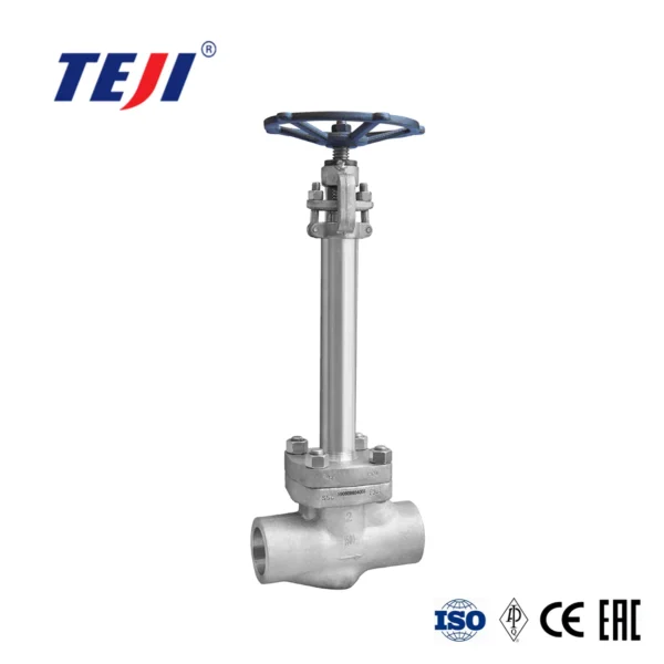 Forged Cryogenic Globe Valve
