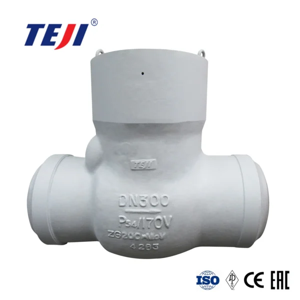 High Pressure Check Valve