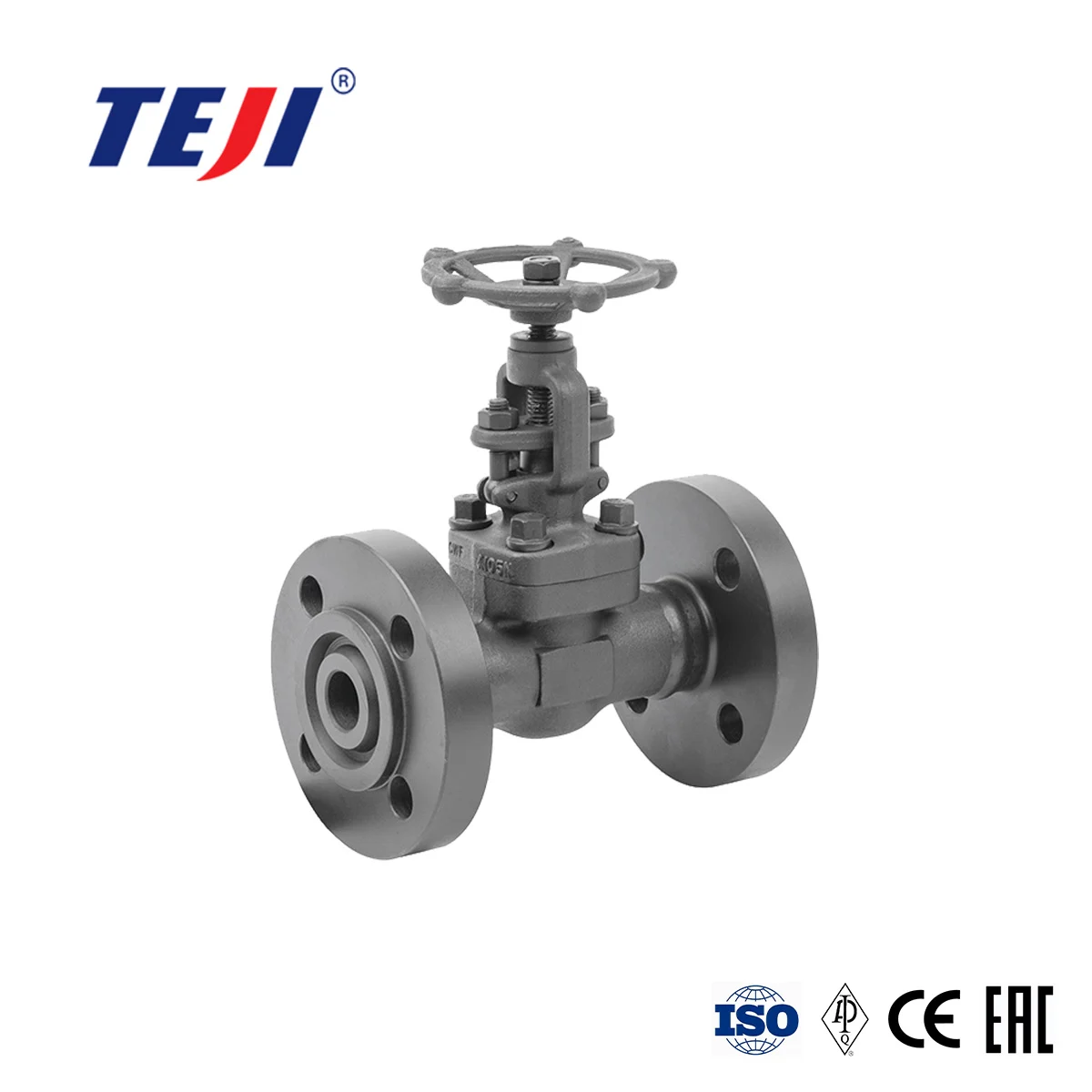 Integral Flange Forged Globe Valve