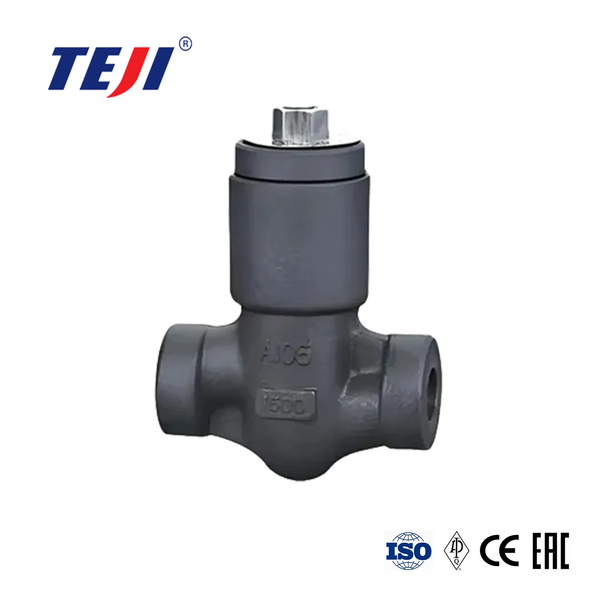 Welded Bonnet Forged Check Valve